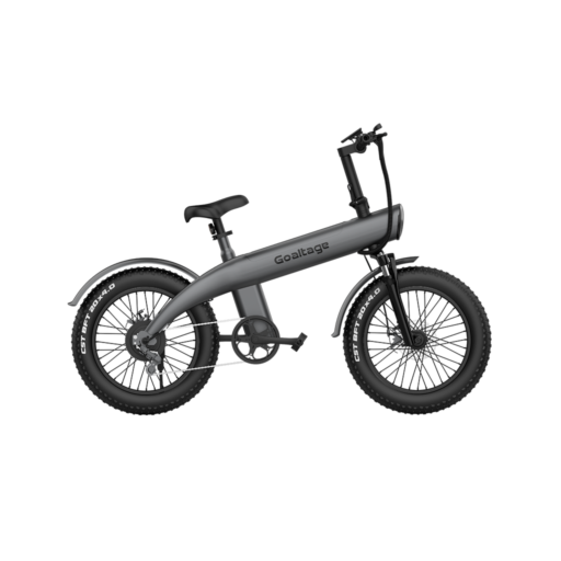 EcoMotion Electric Bike  