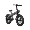EcoMotion Electric Bike  