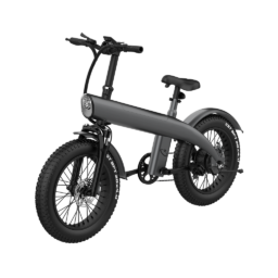 EcoMotion Electric Bike  