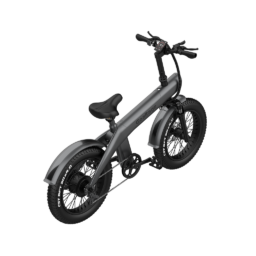 EcoMotion Electric Bike  