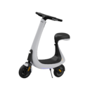 PowerMotion Electric Scooter  