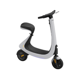 PowerMotion Electric Scooter  