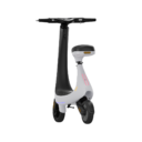PowerMotion Electric Scooter  